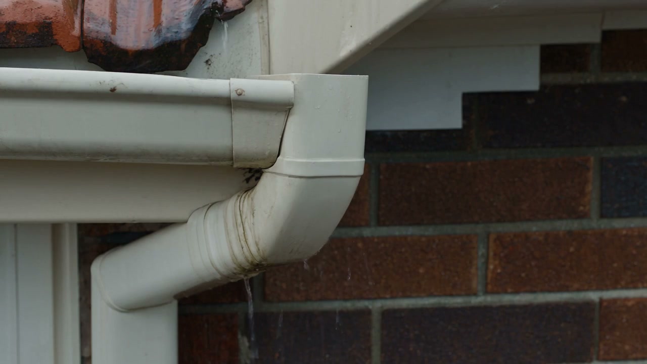 Water running clean through a cream quad gutter and down a downpipe against dark brick, from the film
